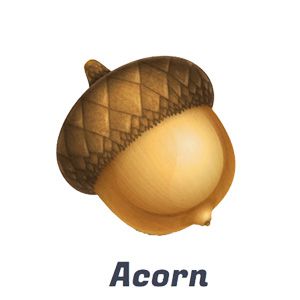 acorn photo editing