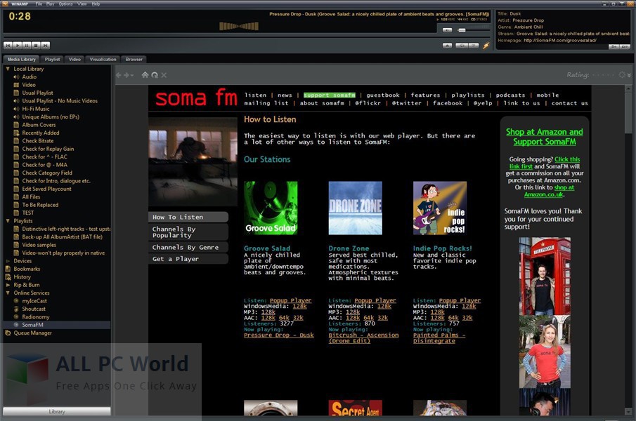 Winamp Full 5.666.3516 Review and Features 