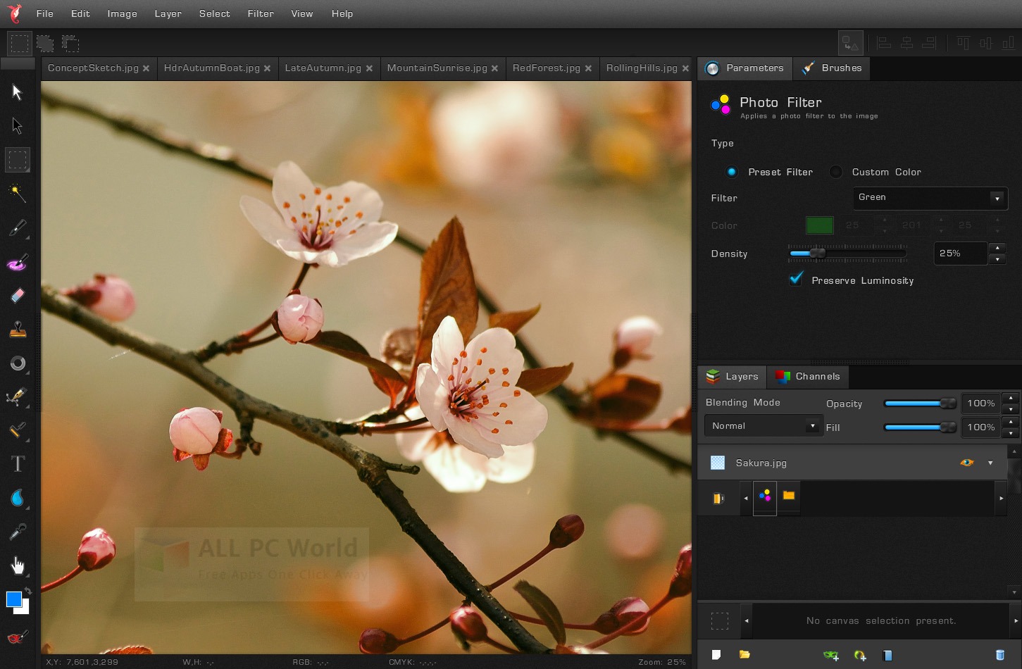Bloom Image Editor Review