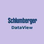 Schlumberger Dataview Free Download