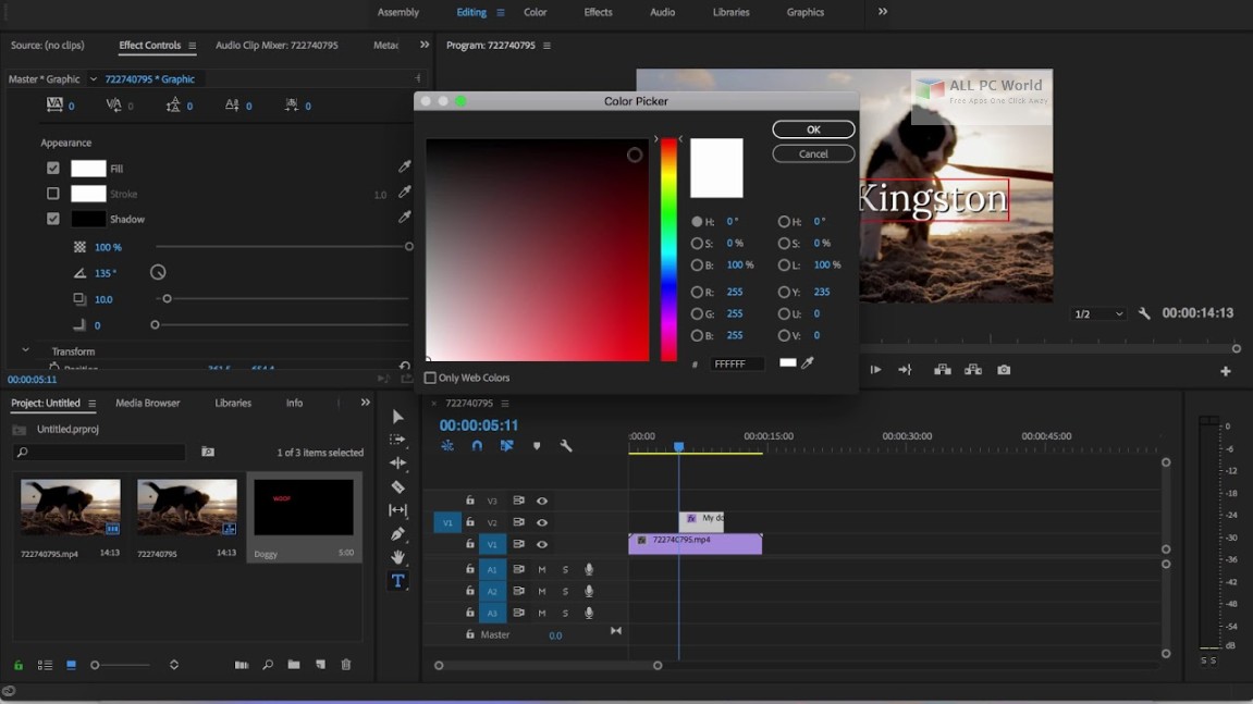 Adobe Premiere Pro CC 2019 v13.0