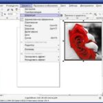 CorelDRAW Graphics Suite X5 SP3 v15.2