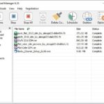 Internet Download Manager (IDM) 6.36 Build 7
