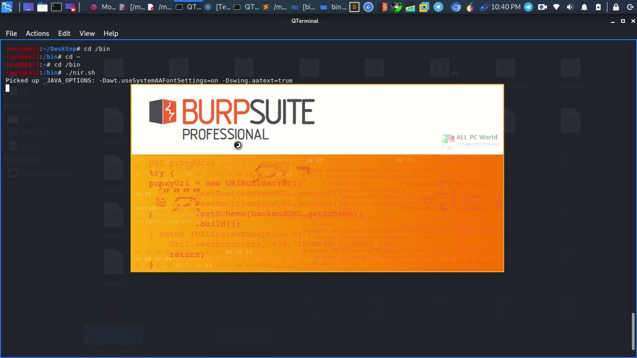Burp Suite Professional 2020 Download