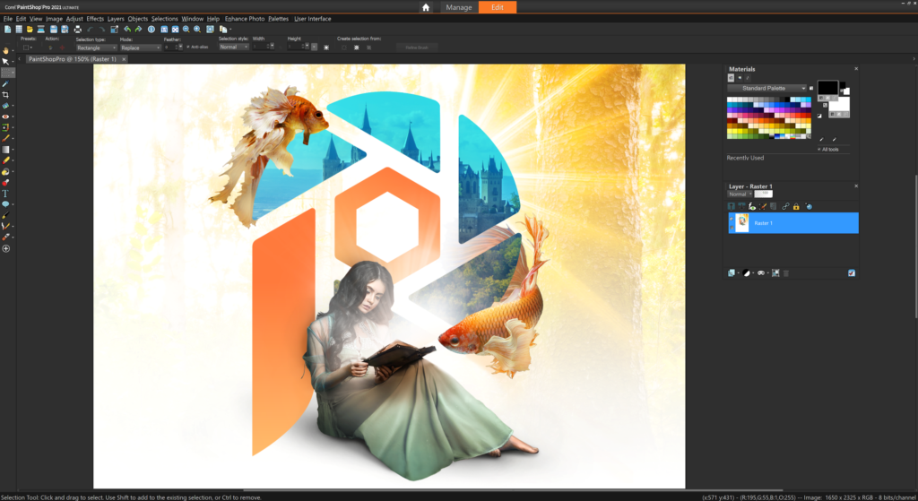 Corel PaintShop Pro 2021 Free Download