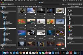 ACDSee Photo Studio 8 for Mac Free Download