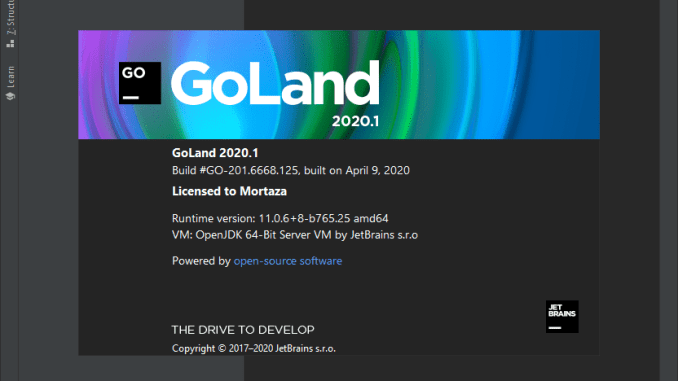 JetBrains GoLand 2020 for Mac Free Download