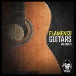 Flamenco-Guitars-Vol-5-Free-Download