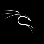 Kali-Linux-2021.2-Free-Download