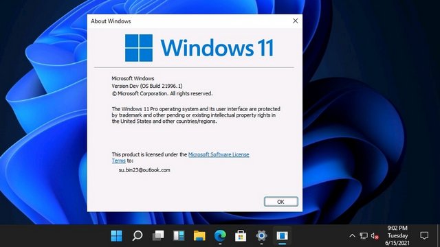 Windows 11 Direct Download link