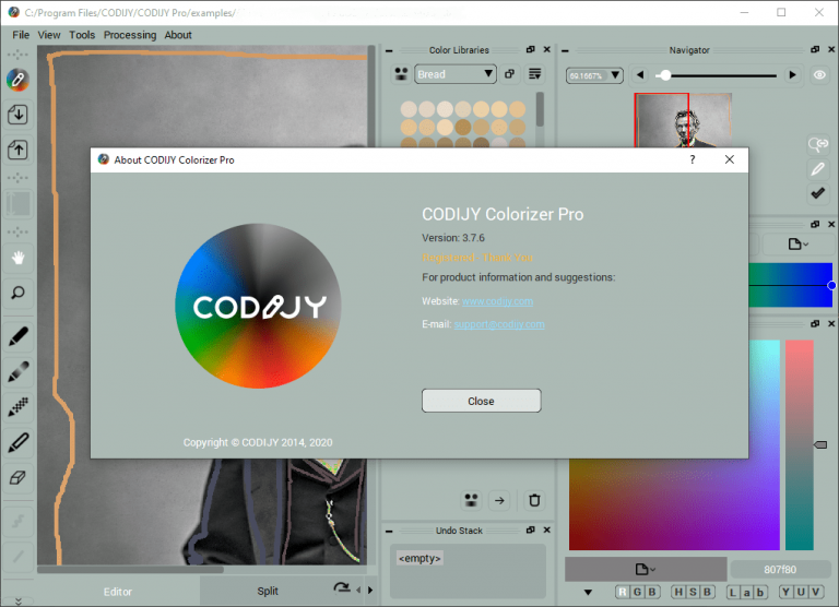 CODIJY Colorizer Pro 4 Free Download