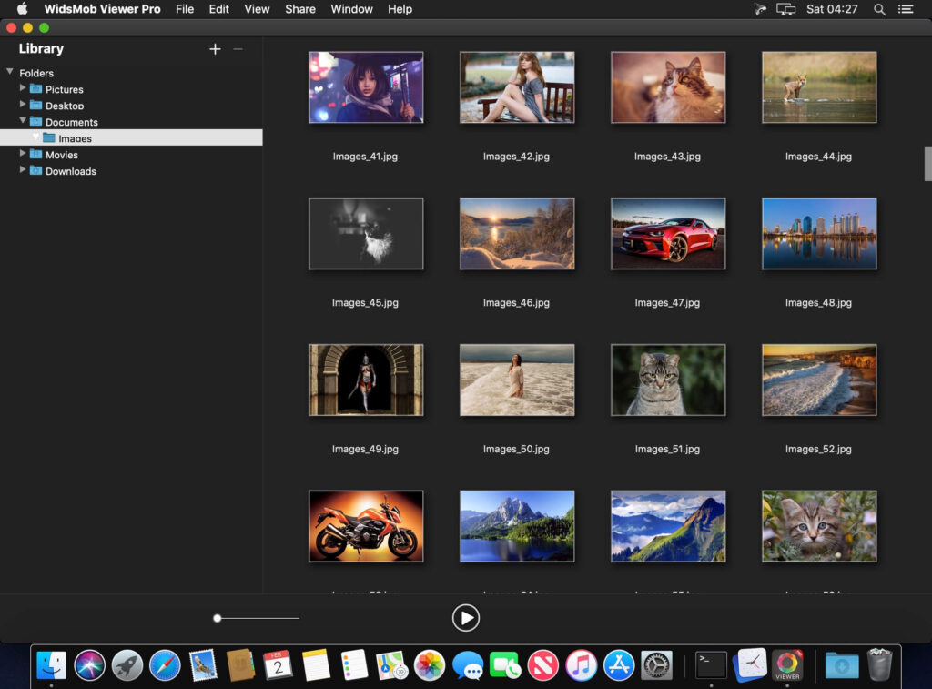 WidsMob Viewer Pro for Mac Free Download