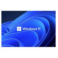 download windows 11 pro