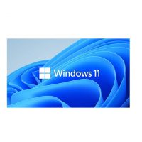 windows 11 insider preview iso download