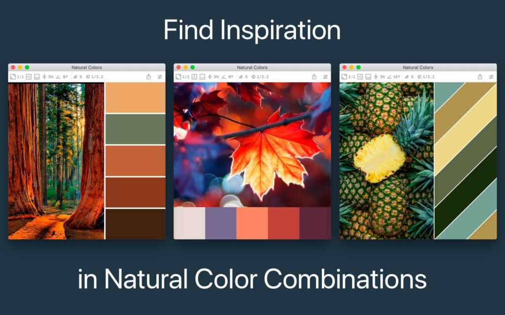 Color Palette from Image Pro 2.1 for Mac Free Download
