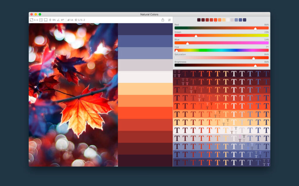 Color Palette from Image Pro 2.1 for macOS Free Download