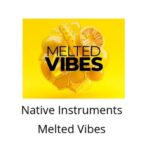 Download Native Instruments Melted Vibes