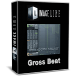 Image-Line Gross Beat Full version Free download