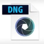 Download Adobe DNG Converter 13