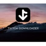 Download TikTok Downloader 3