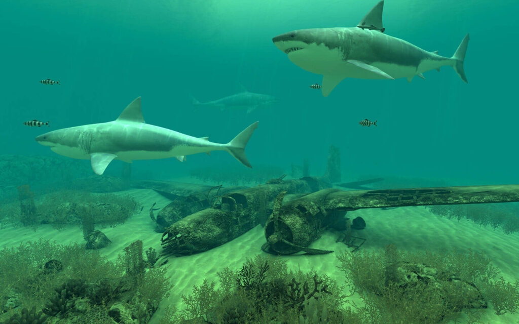 Sharks 3D Free Download