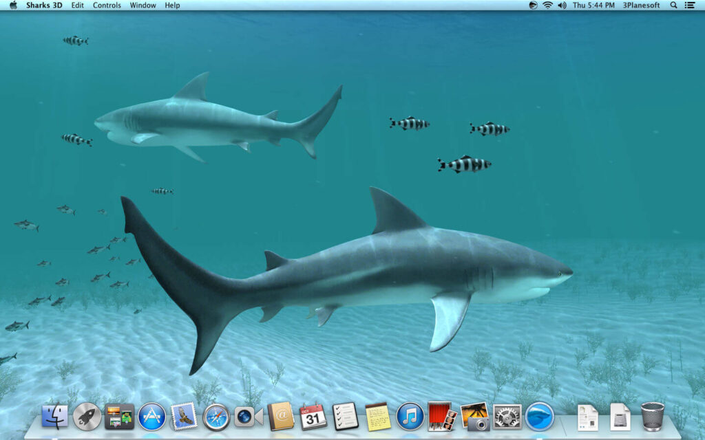 Sharks 3D for Mac Free Download