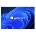 Win 11 Pro ISO Download Free