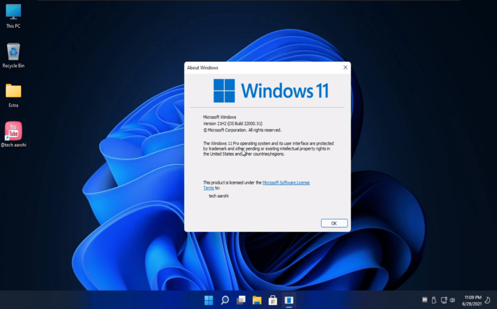 Windows 11 Professional Lite Edition Free Download