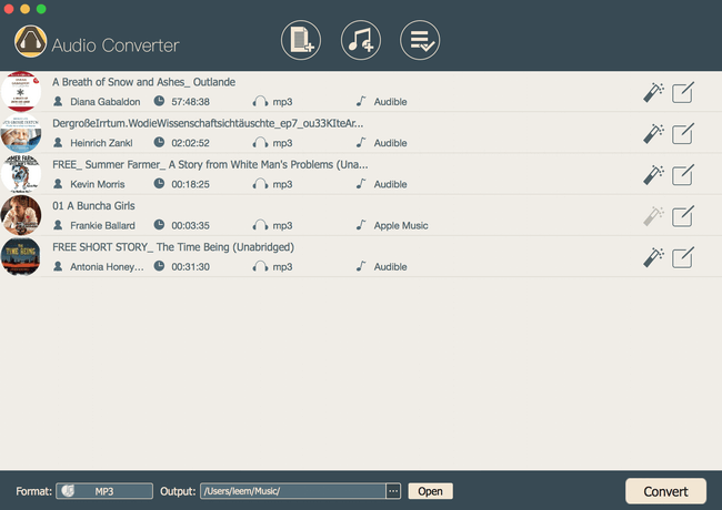 Viwizard Audio Converter Free Download