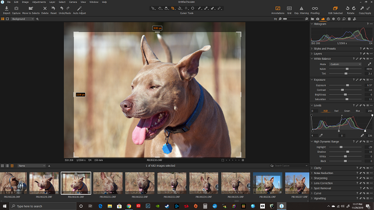 Capture One 22 Pro for Free Download