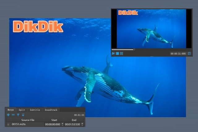 DikDik Video Kit 5 for Free Download