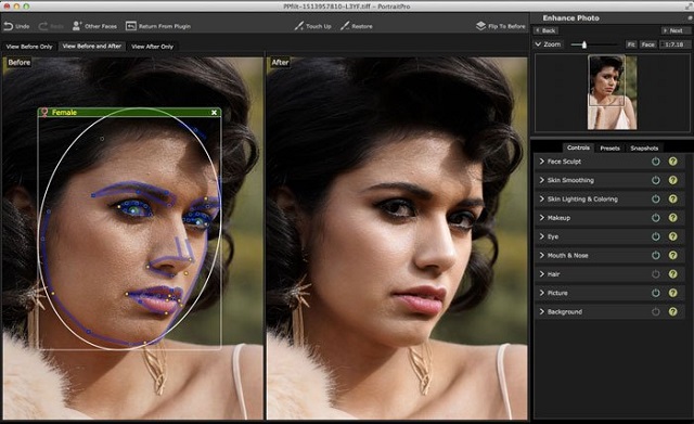 WidsMob Portrait Pro for Free Download