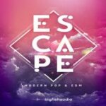 Big Fish Audio Escape Modern Pop EDM for Free Download