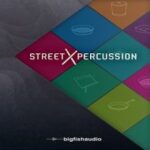 Big Fish Audio Street Percussion KONTAKT Free Download