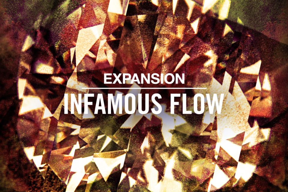 Native Instruments Expansion INFAMOUS FLOW 2022 Free Download
