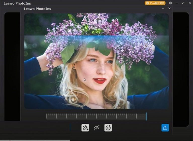 Leawo PhotoIns Pro 2 Premium Free Download