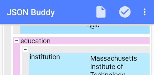 JSONBuddy 2022 full version