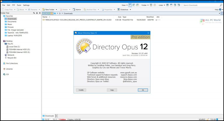 Directory Opus Pro 12 for Windows