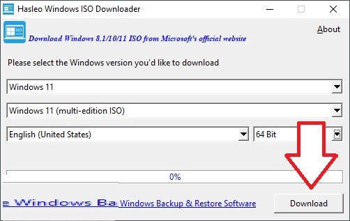 Hasleo Windows ISO Downloader Full version program download