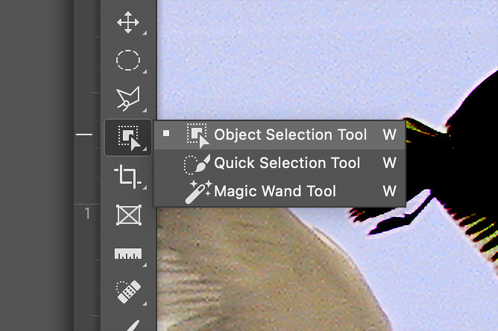 Adobe Photoshop 2022 Selection Tool