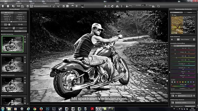 Franzis Black & White Video Professional for Free Download