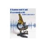 Diamond Cut Forensics10 Audio Laboratory 10 Free Download