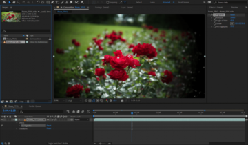 animations for adobe premiere free