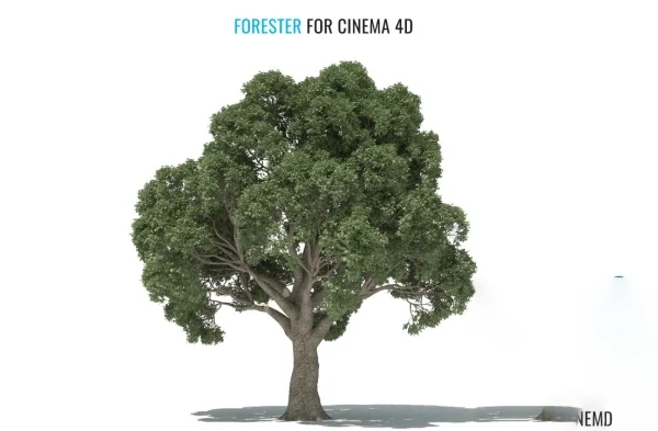 Forester v1.5.5a For Cinema 4D Free Download
