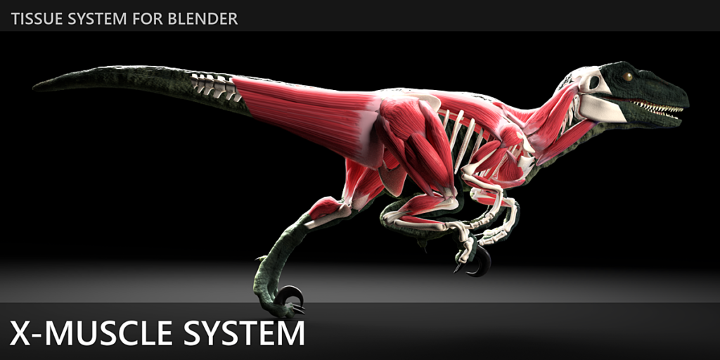 X-Muscle System 4.0 for Blender Free Download